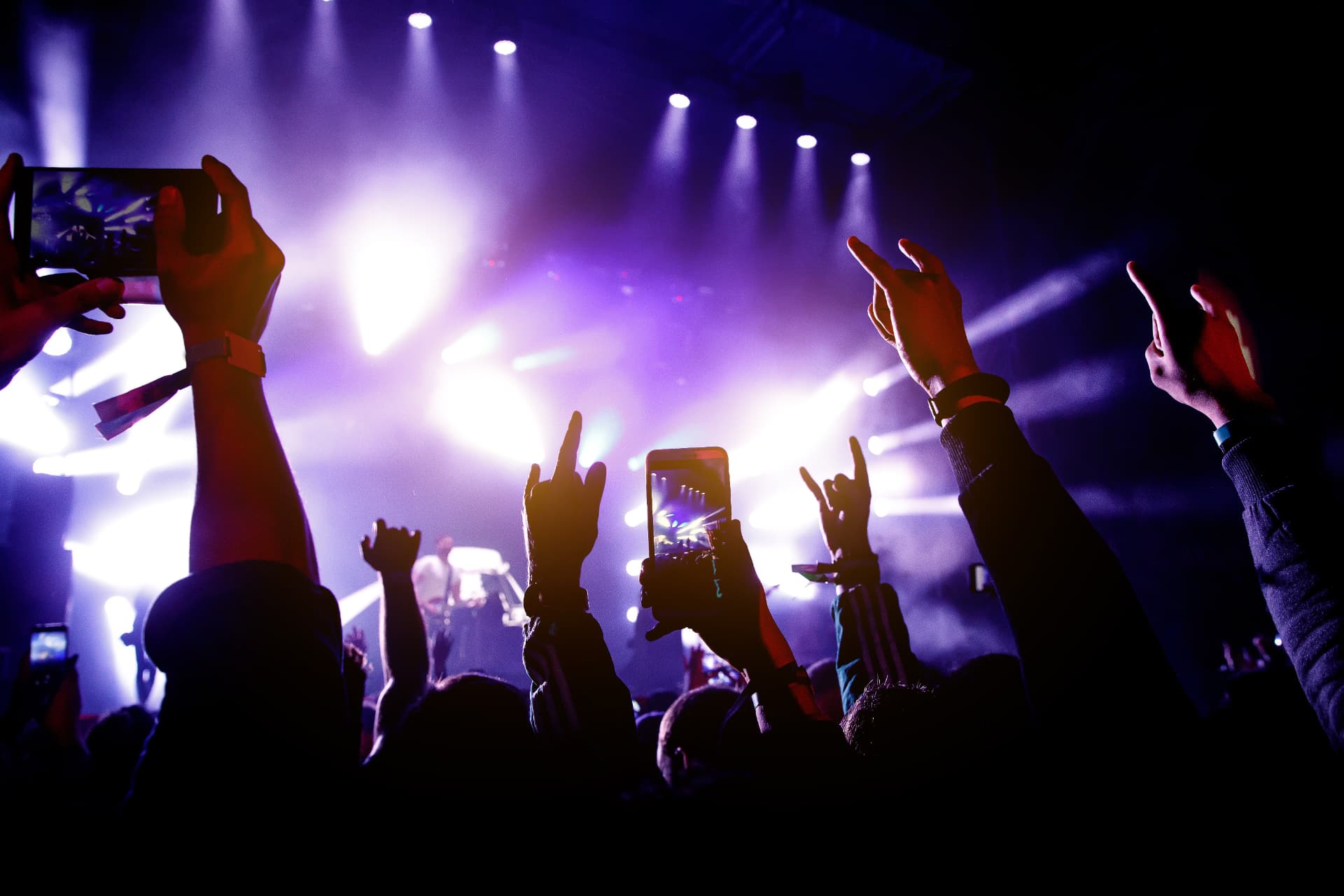 Audience at a live music performance